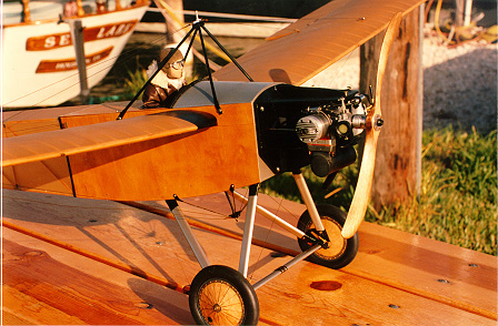 proctor antic flying scale model aircraft