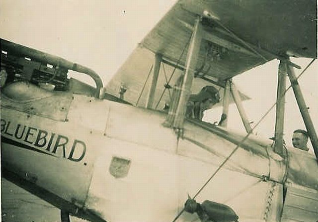 blackburn bluebird biplane