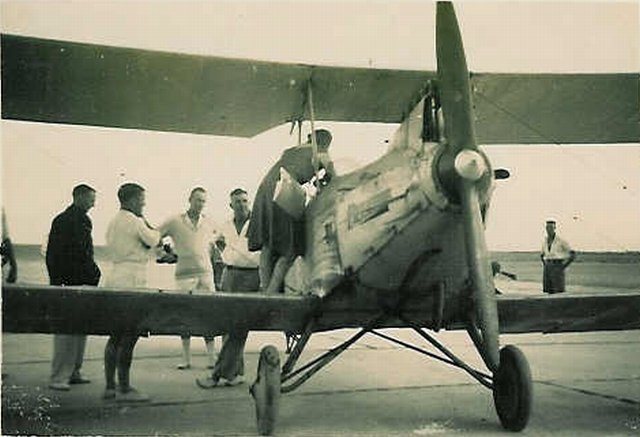 blackburn bluebird mary bruce