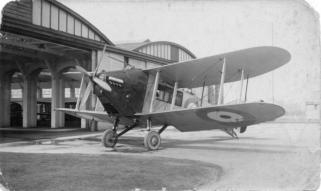 avro bison