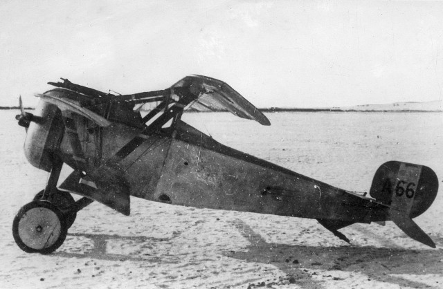 nieuport triplane